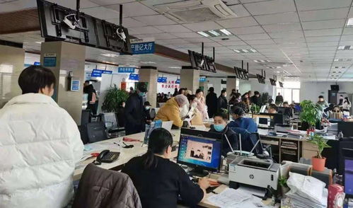 物聯賦能，網通民心 智慧服務讓群眾辦事更便捷